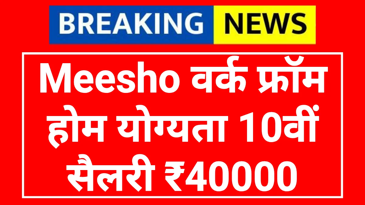 Meesho Work From Home 2026